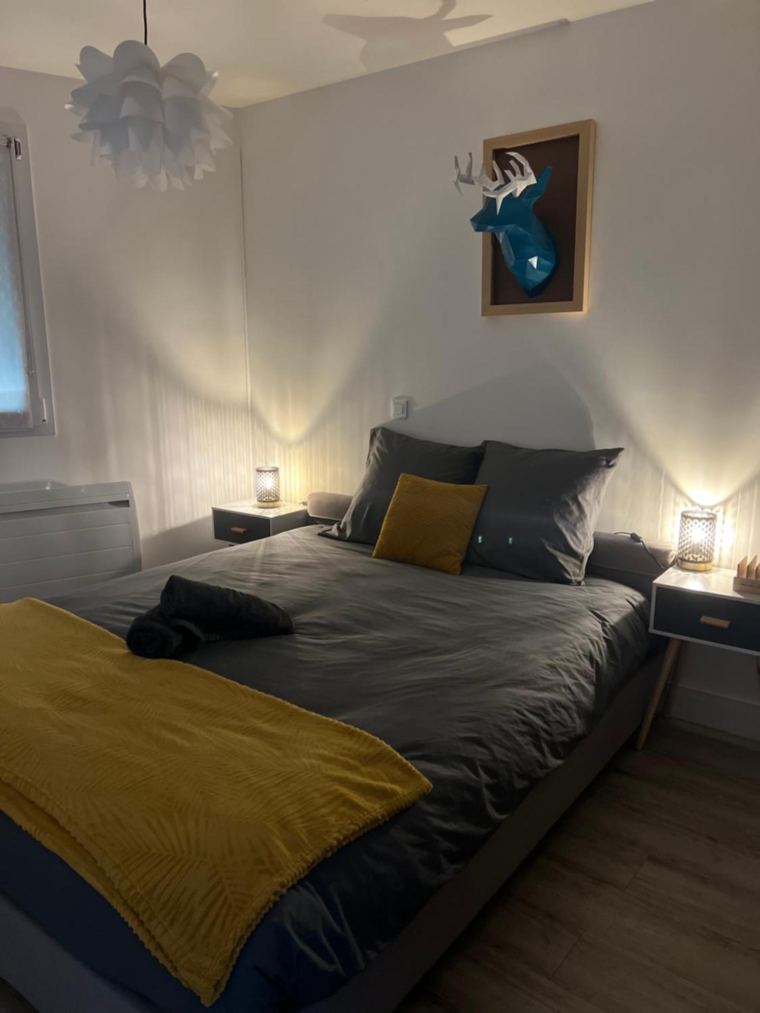 Appartement Cosy Face A La Basilique Saint Remi Reims Bagian luar foto